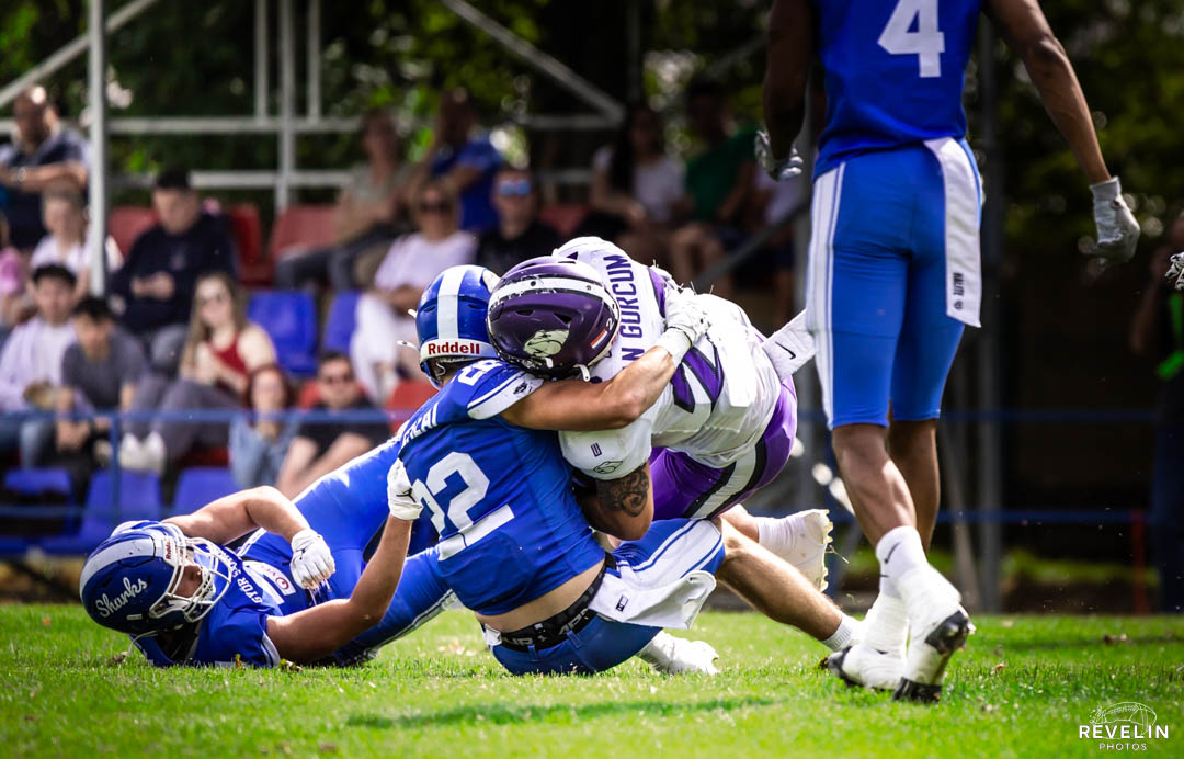 Győr Sharks vs. Újpest Bulldogs
